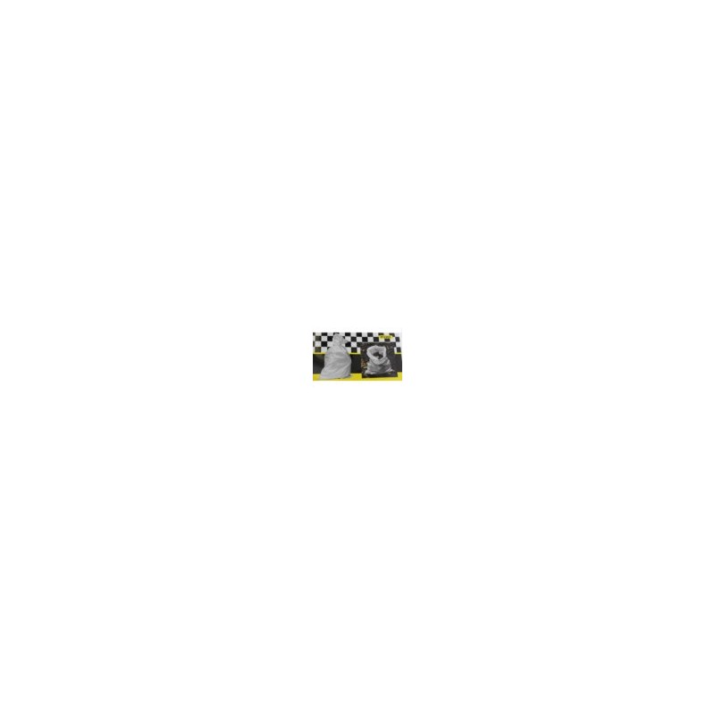 SAC DE DEBRIS 10 PCS 65 X 100 CM + CORDON SAC DE DEBRIS 10 PCS 65 X 100 CM + CORDON