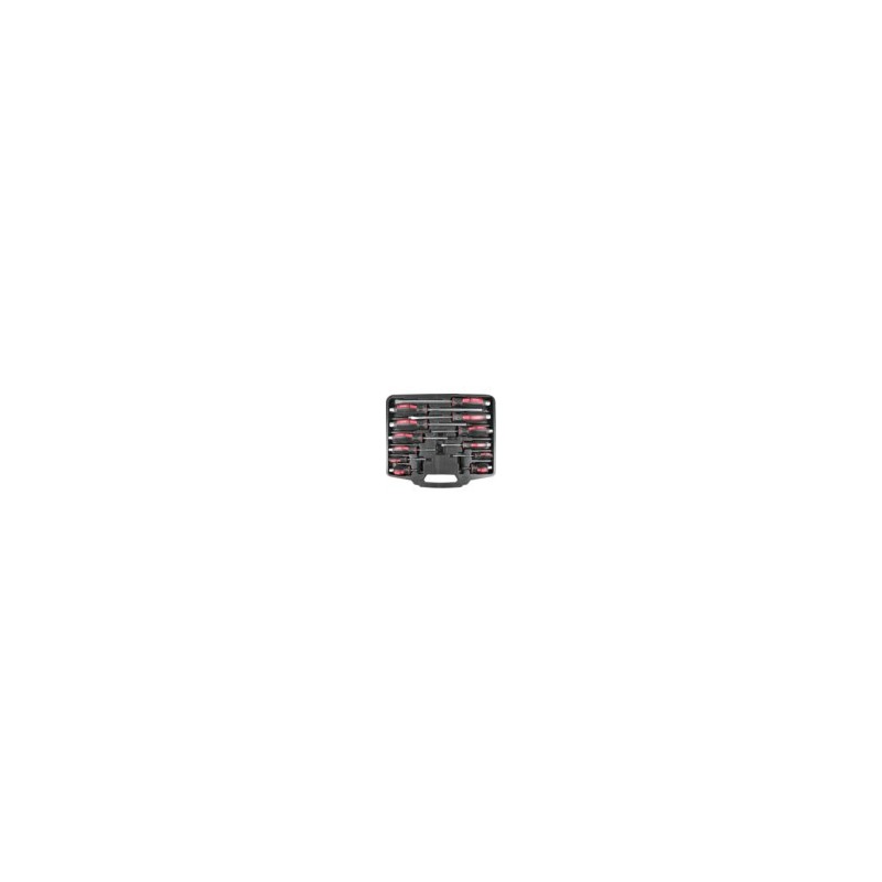 schr dr ph + slotted 12 dlg koffer zwart/rood schr dr ph + slotted 12 dlg koffer zwart/rood
