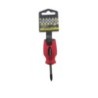 SCHR DR POZI PZ2 X 38 ROOD/ZWART CRV