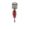 Schr dr plat 6x38 rood/zwart CRV