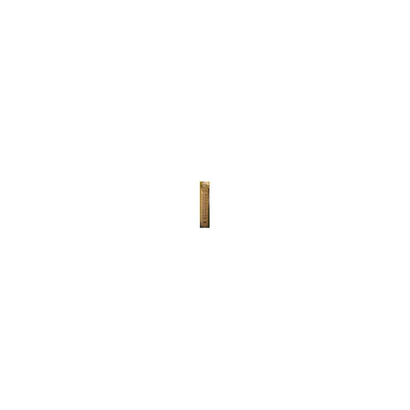 thermometer jumbo