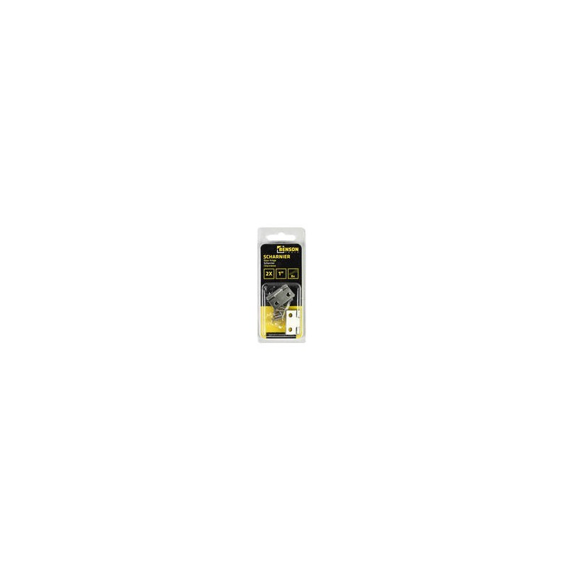 Charnières 2 pcs 1" acier inoxydable