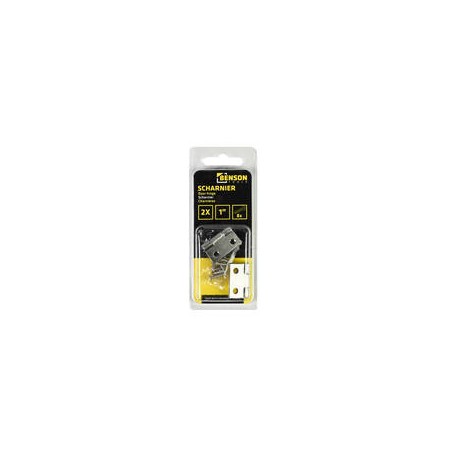 Charnières 2 pcs 1" acier inoxydable