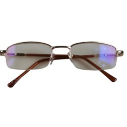 leesbril goud-tint-veerpoot 2.00