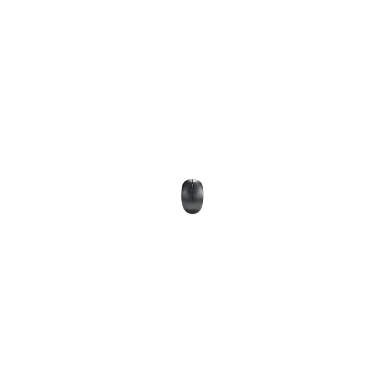 SOURIS SANS FIL MINI ERGONOMIQUE