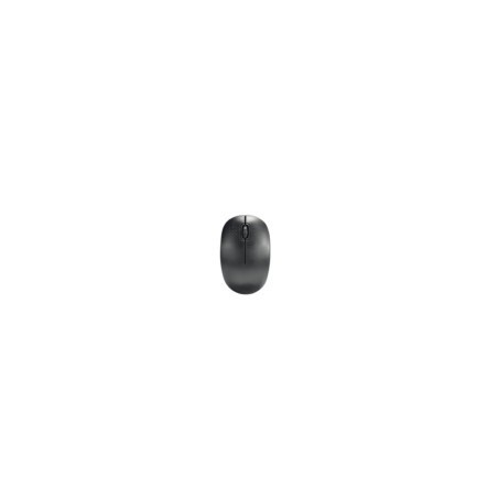 SOURIS SANS FIL MINI ERGONOMIQUE