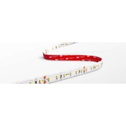 ACCENTO 14,4W/m  STRIP 60Led  5m 4000K IP20 CB