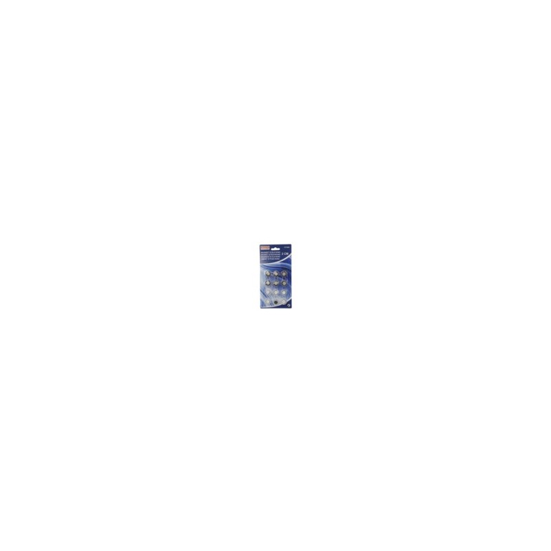 MAGNEET 12 DLG ROND 2 CM
